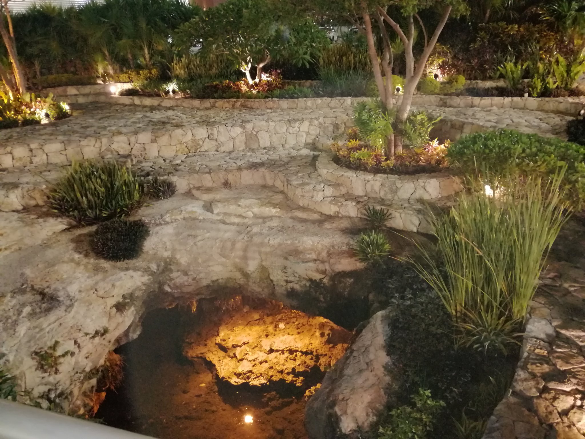 ¿Sabías Qué Existe Un Cotsco Con Un Cenote En Su Estacionamiento?