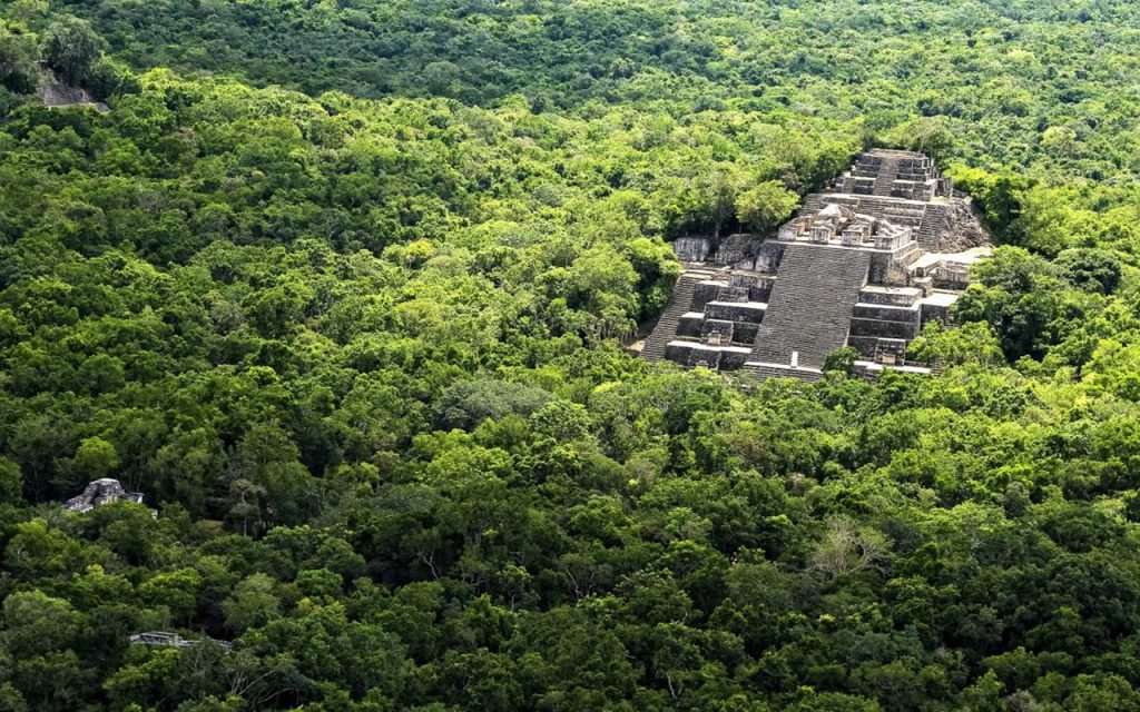 Calakmul Reserva Visita