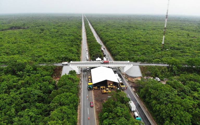 Asociaciones civiles de Quintana Roo reúnen firmas para detener construcción del Tren Maya