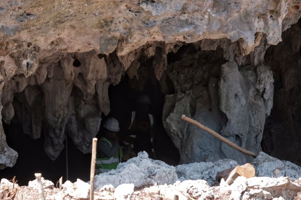 Angry wasp, la caverna que se interpone en las obras del tramo 5 del tren maya la revista del sureste mx 1648534502199 Caverna 1