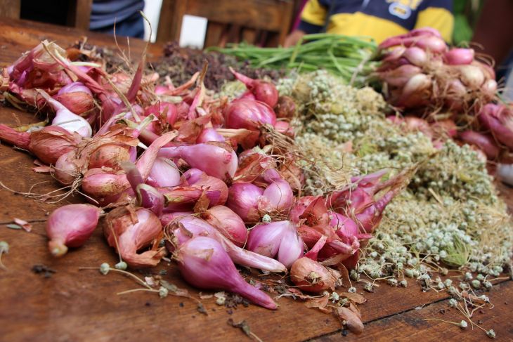 6424164852166026352419850 5084C369E8 K 1