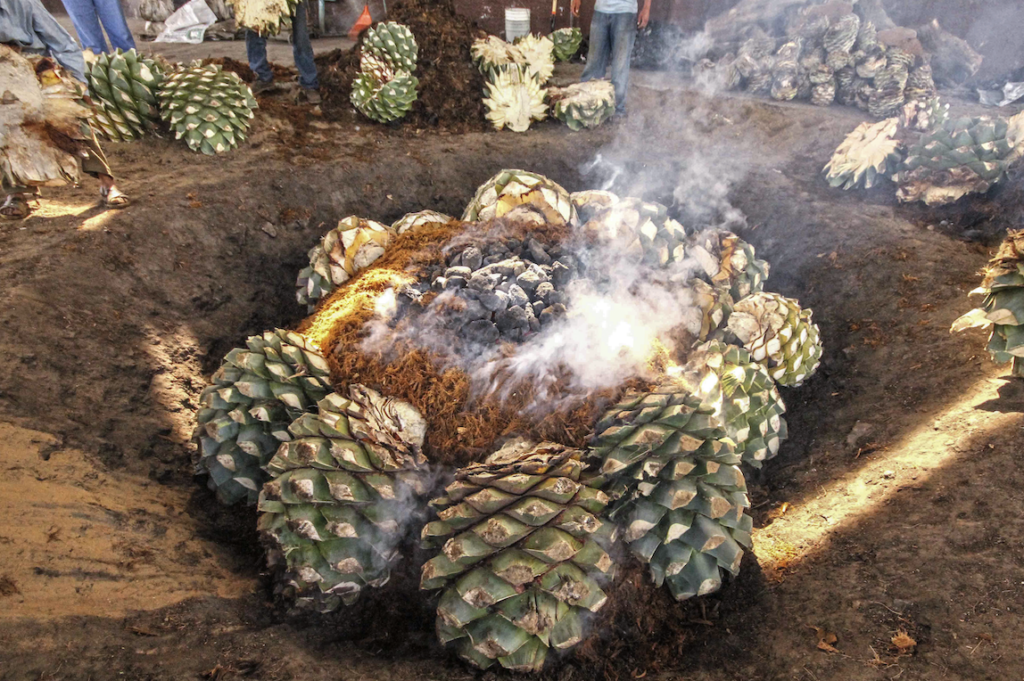 Deléitate en la ruta del mezcal en oaxaca la revista del sureste mx Captura De Pantalla 2020 07 17 A Las 22.27.17