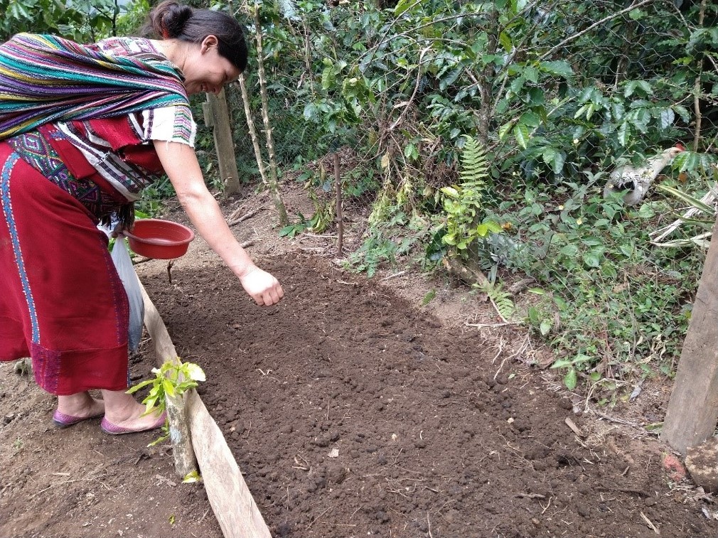 Catarina Sembrando 1