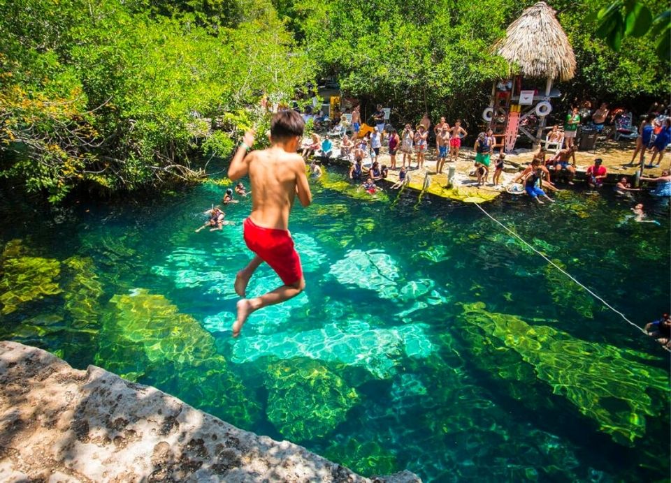 Diseño Sin Título 1 1