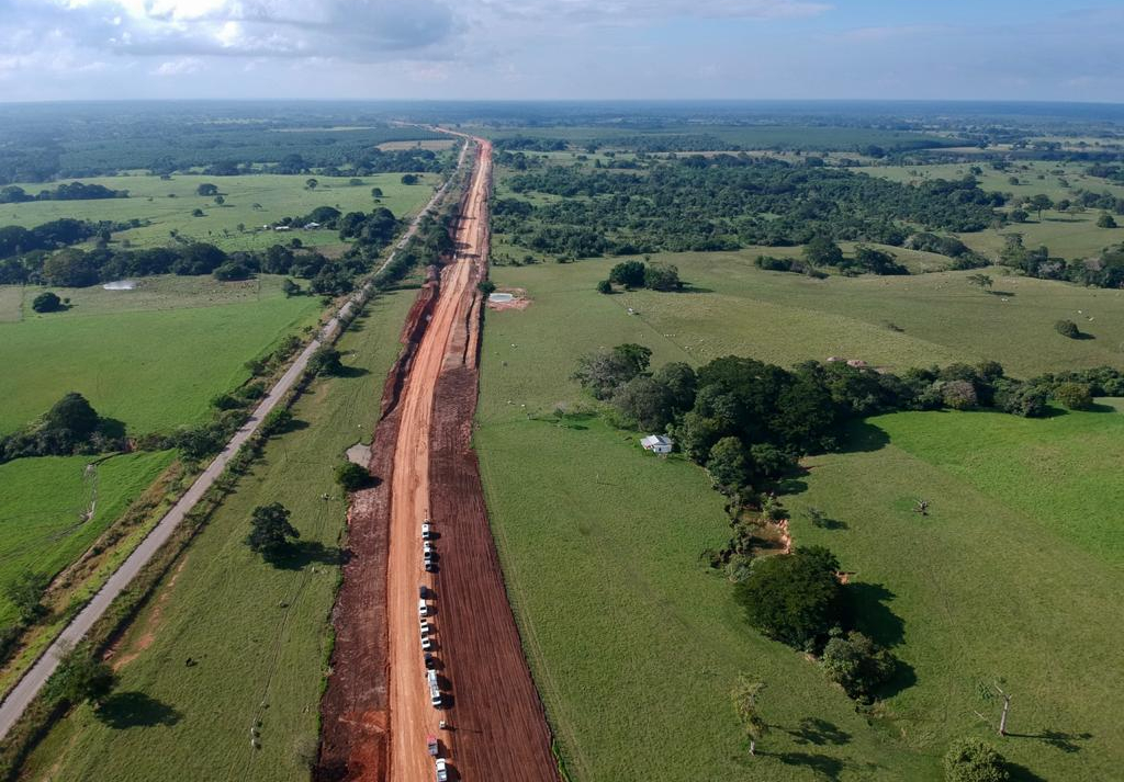 Tren Maya: denunciaron tala de árboles en Playa del Carmen.