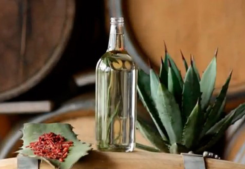 Retirarán del mercado una marca de mezcal de Oaxaca por anomalías
