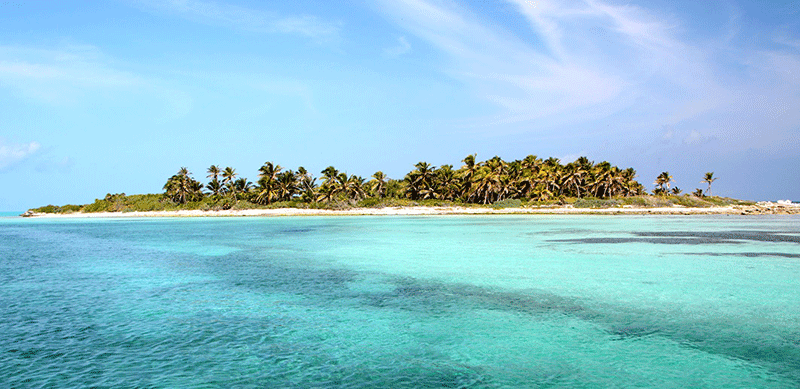 Un día en isla contoy la revista del sureste mx Visita Isla Contoy