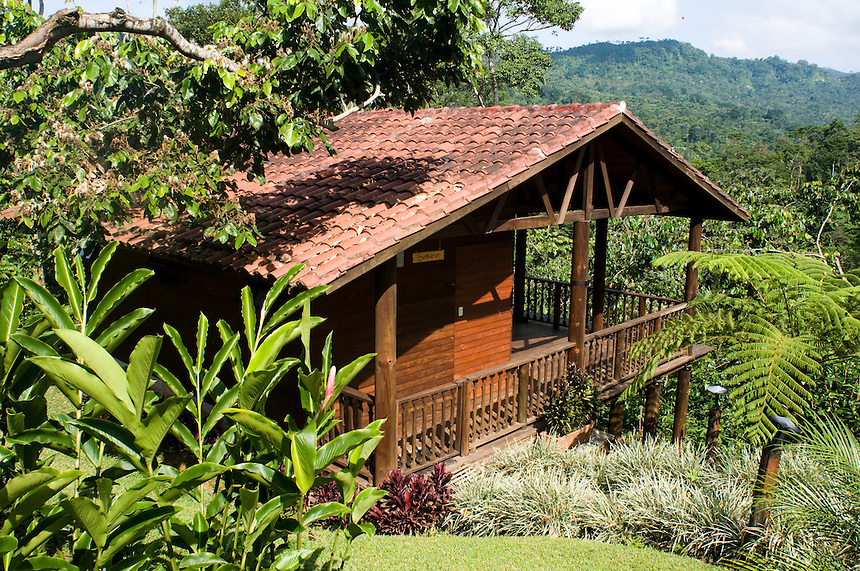 Conoce la ruta del café en chiapas la revista del sureste mx Www Adamphotogallery Com 090901 541