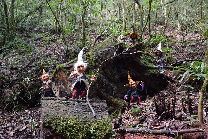 Los aluxes: los duendes de la cultura maya la revista del sureste mx Art8 1Aluxesbosque De Los Duendes El Cual Estara Ubicado En La Finca Churumbela En El Municipio De