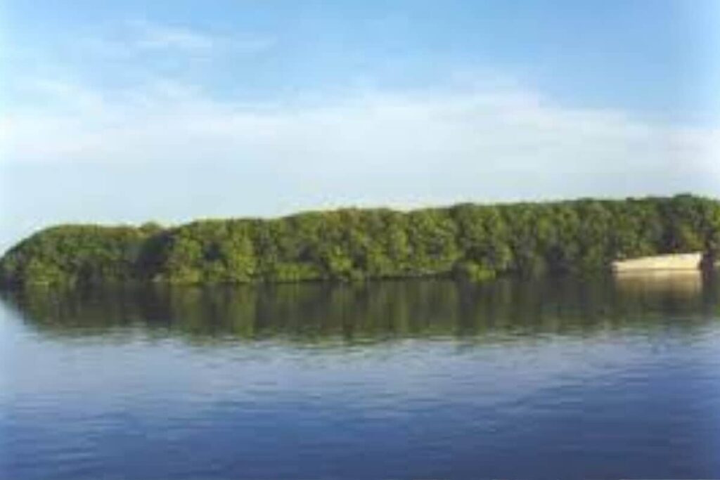 Champoton Campeche La Aguada De Santa Cruz Rovira