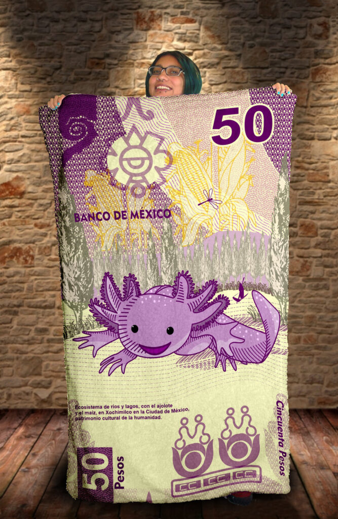El ajolote del billete de 50 pesos ya está en todas partes Los ajolotes en el billete de 50 pesos mexicanos han enamorado a más de un coleccionista, hay quienes evitan a toda costa gastarlo, lo mantienen aferrado en la cartera, lo guardan en medio de libros para que no se maltrate, lo enmarcan o hasta lo reproducen en cobijas, toallas, libretas y tazas.  https://larevistadelsureste.com