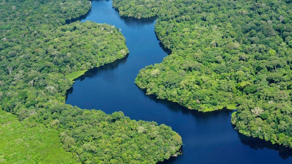 Amazonas