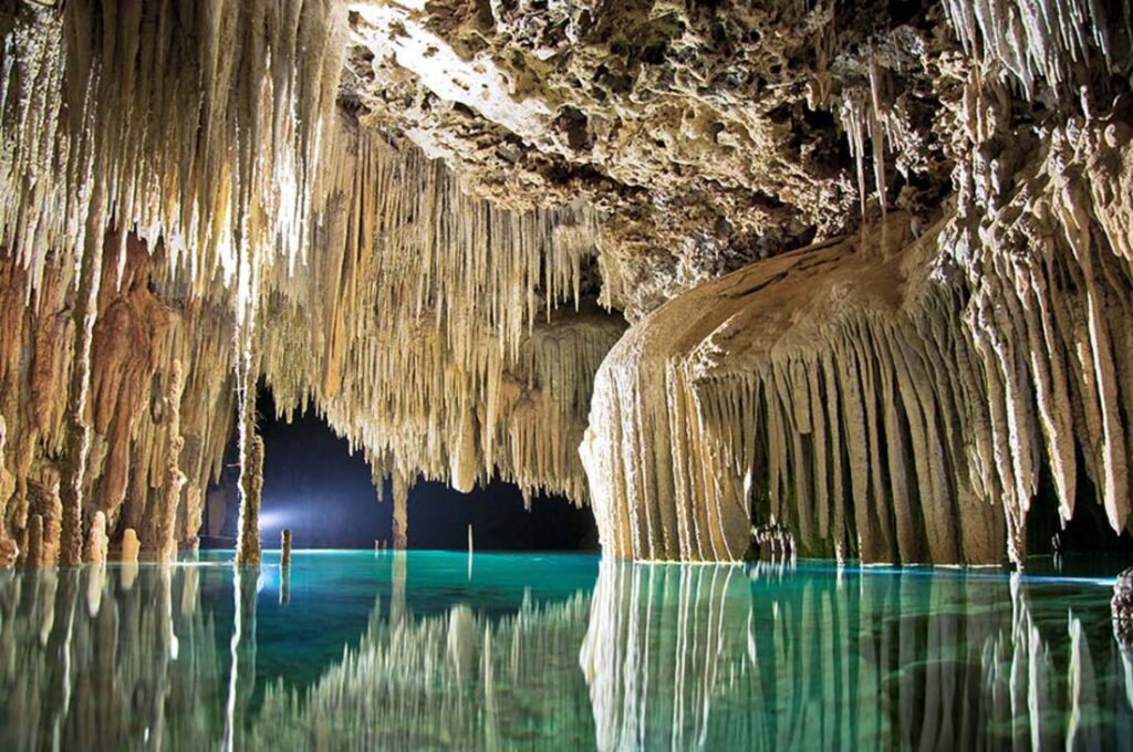 ¿qué plantas cuelgan del techo de los cenotes? La revista del sureste mx Cenotes Urbanos