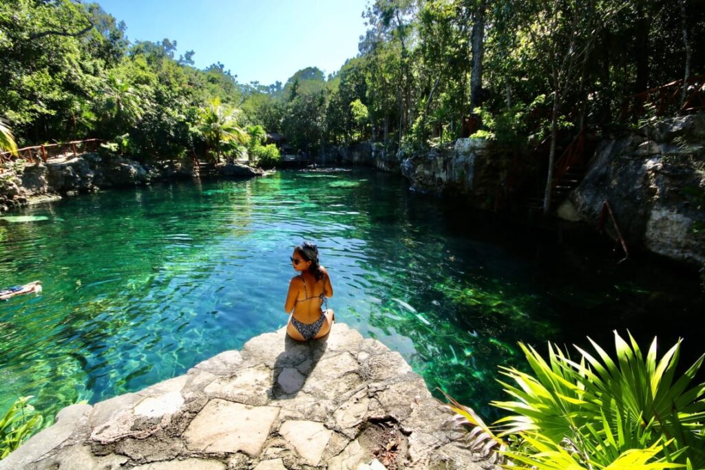 ¿qué plantas cuelgan del techo de los cenotes? La revista del sureste mx M75P1Dgv06K5Nzwvjh4E