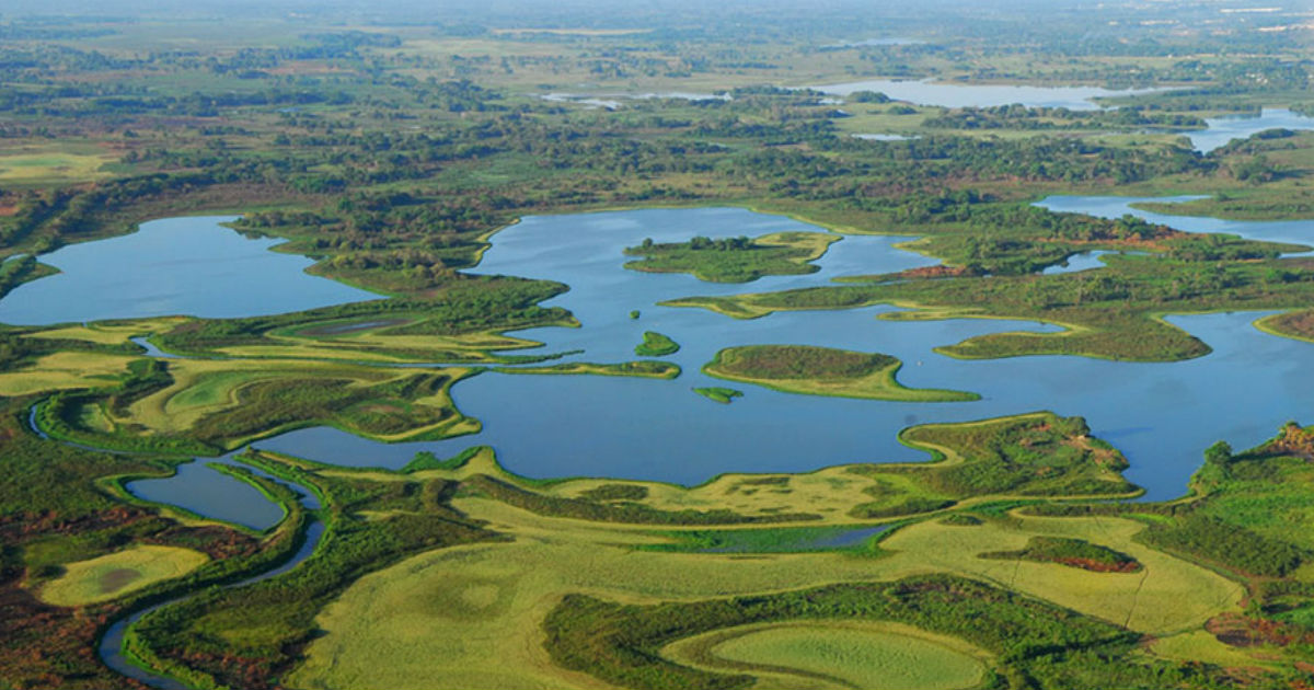 Pantanos Centla