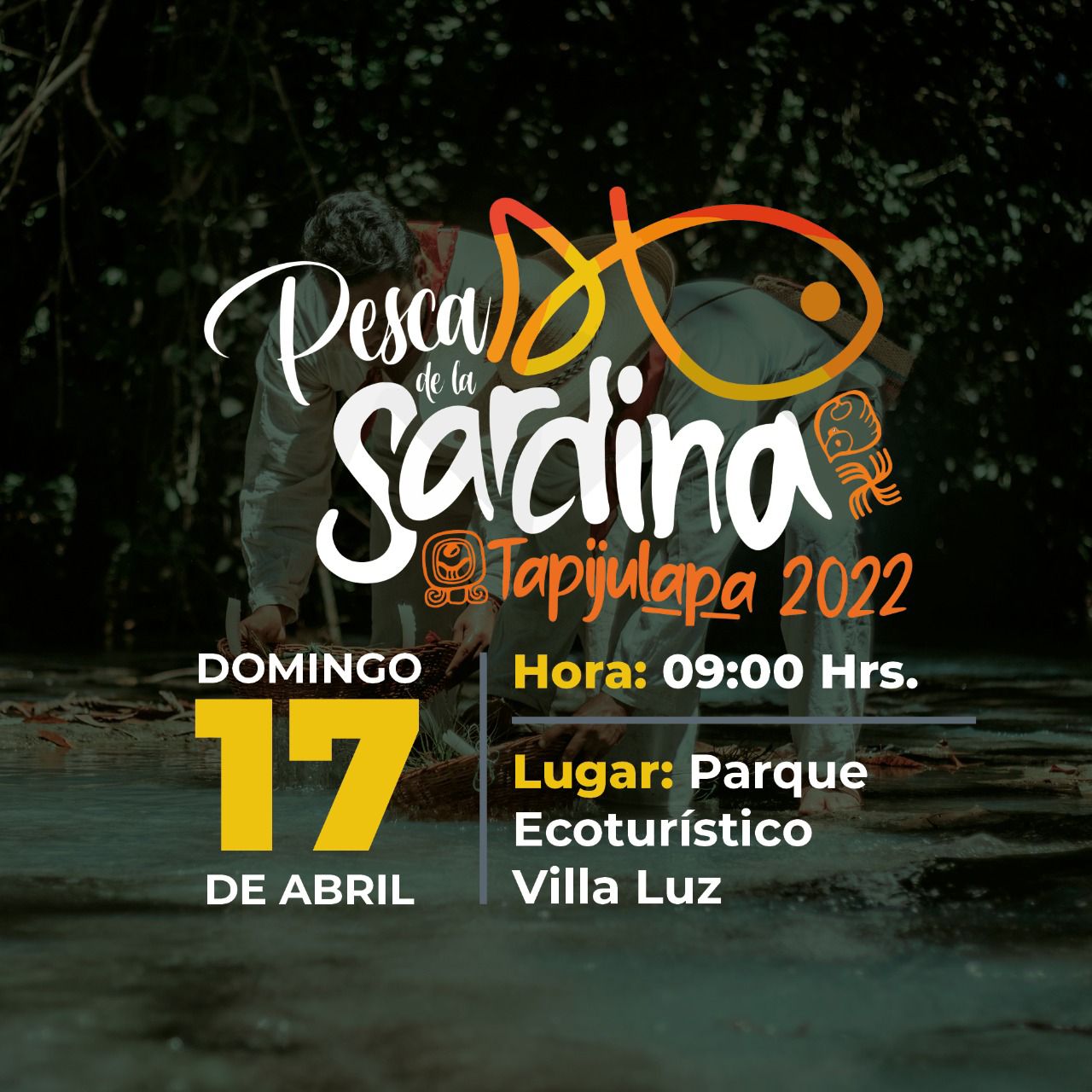 Pesca Sardina