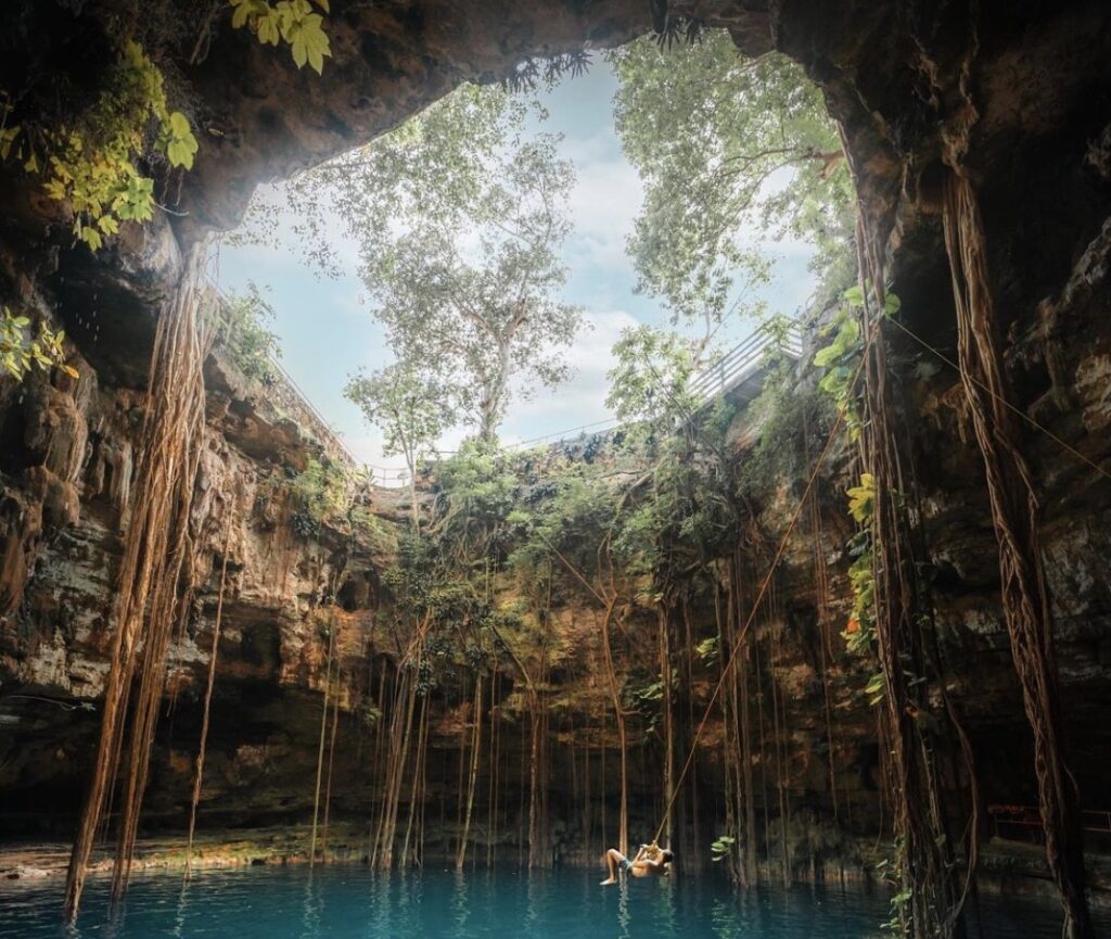 ¿qué plantas cuelgan del techo de los cenotes? La revista del sureste mx Que Plantas Cuelgan Del Techo De Los Cenotes