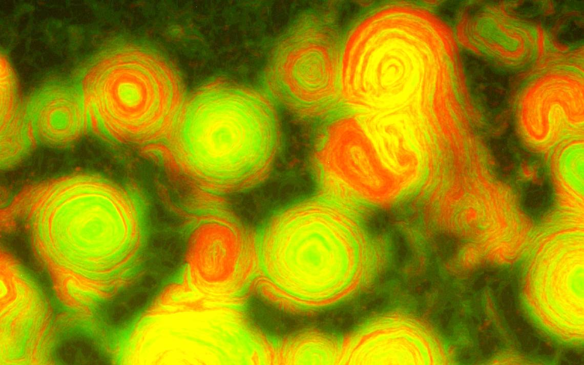 Descubren bacterias que parecen obras de arte