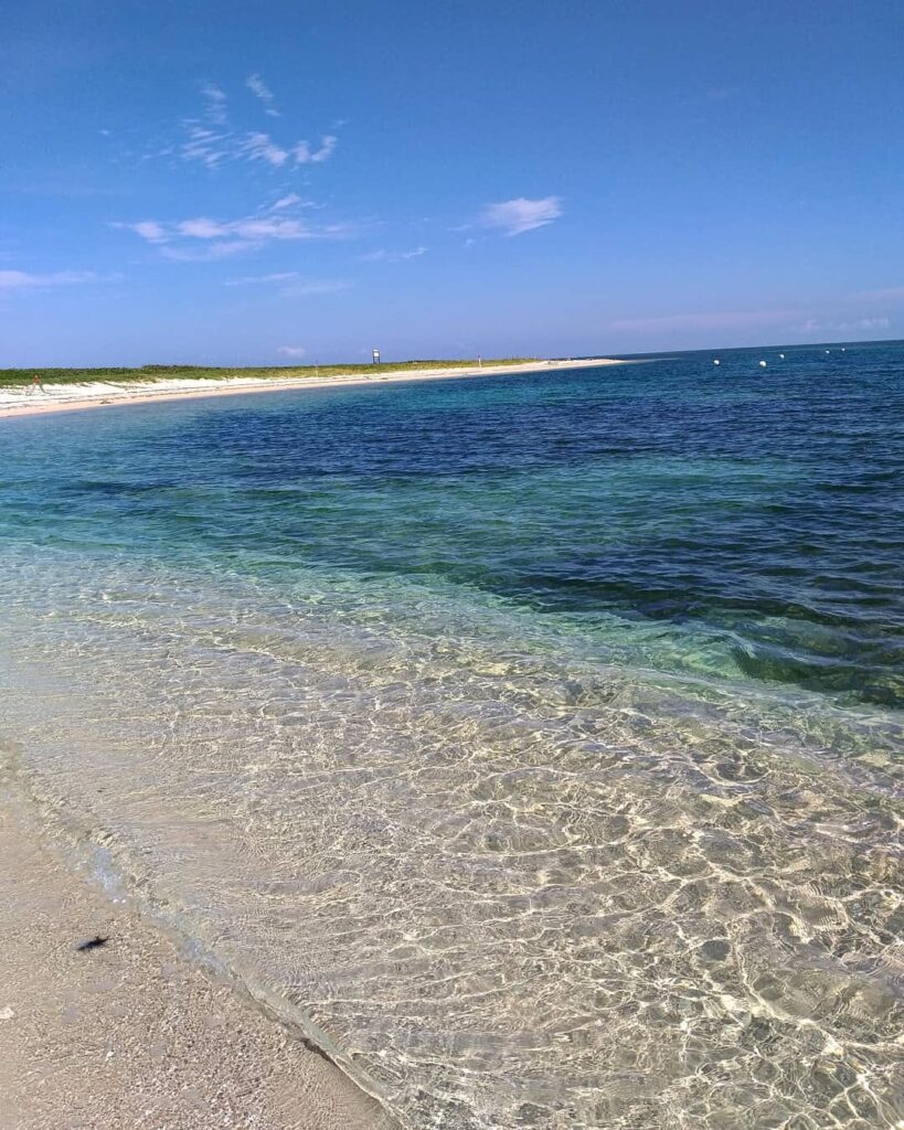 Isla de enmedio, un rincón paradisíaco en veracruz la revista del sureste mx 100074059 3182877178430940 2088927369556393984 N