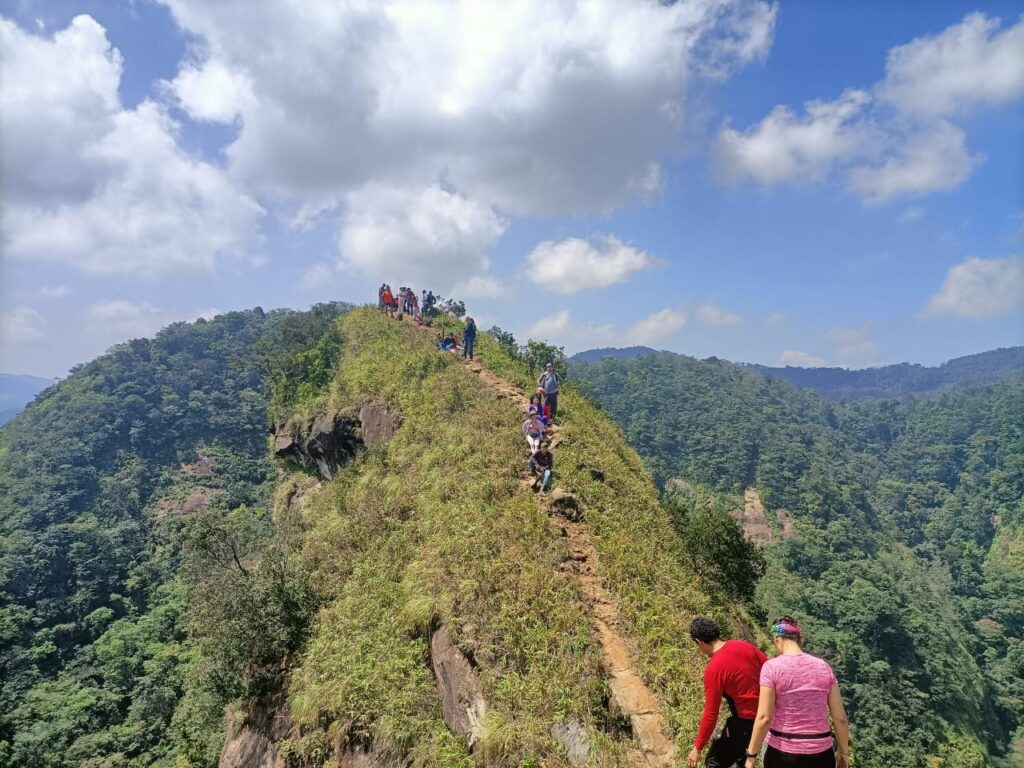 Aventúrate en las alturas del Cerro de 'La Pava' en Tabasco El Cerro de La Pava forma parte de la zona de Malpasito, que se ubica en la Sierra de Huimanguillo, en Tabasco. Se trata de la tercera elevación más importante del estado, la cual alcanza una altura de 840 metros.  https://larevistadelsureste.com