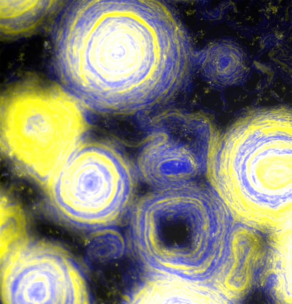 55008635495 5