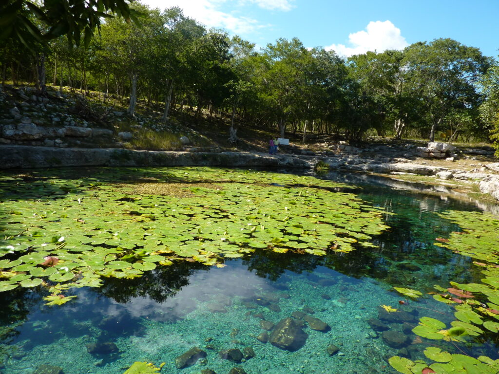 Cenote xlacah, tesoro escondido de la historia maya la revista del sureste mx Cenote Xlacah P1110791