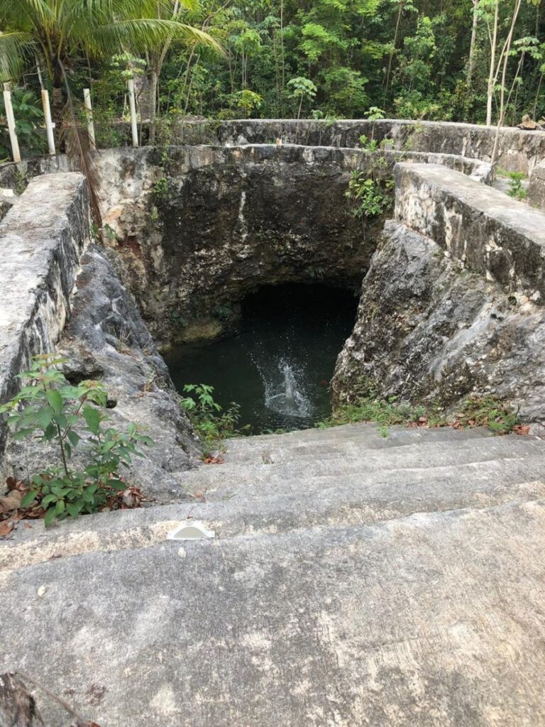 ¿se puede vender cenotes en yucatán? La revista del sureste mx Eb Fa4002