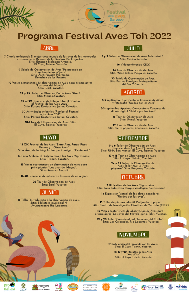 Festival de las aves toh, un recorrido asombroso y sustentable en yucatán la revista del sureste mx Flyer Vf2