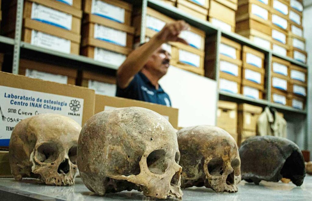 Javier Montes De Paz Investigador Del Centro Del Instituto Nacional De Antropologia E Historia Craneos Efe