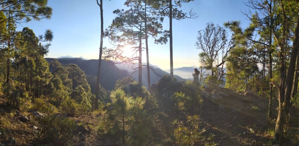 ¿qué es el turismo sostenible y dónde practicarlo? Aquí te decimos la revista del sureste mx Parte Alta De La Reserva De La Biósfera Sierra De Manantlán Capillas