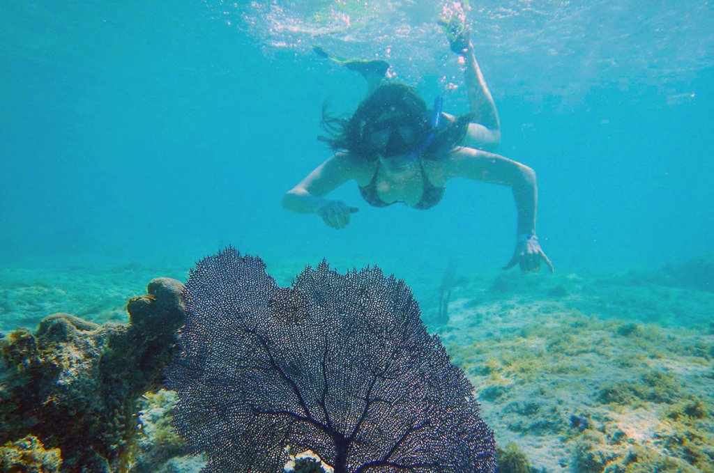 Paamul, un rincón secreto en el caribe mexicano la revista del sureste mx Snorkel En Caribe Mexicano 1 1024X679 1