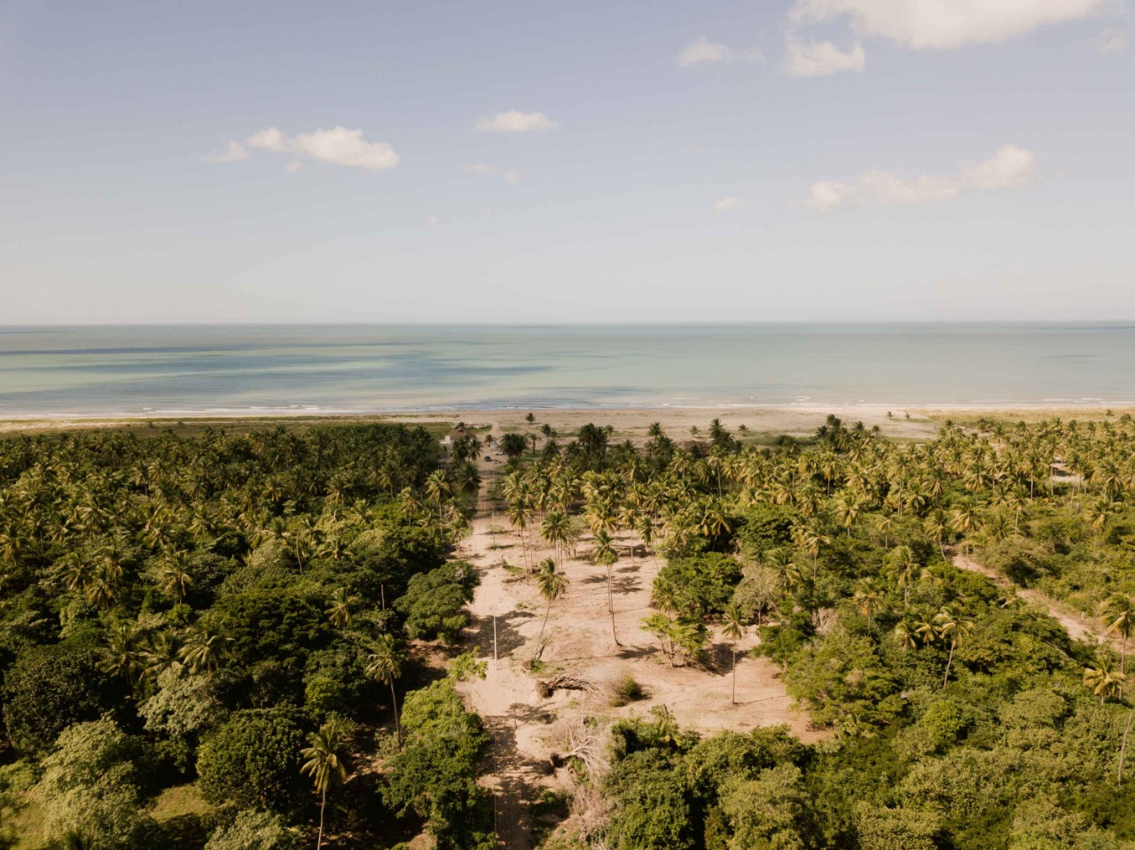 Centla se vuelve atractivo para empresarios con el fin de inversión