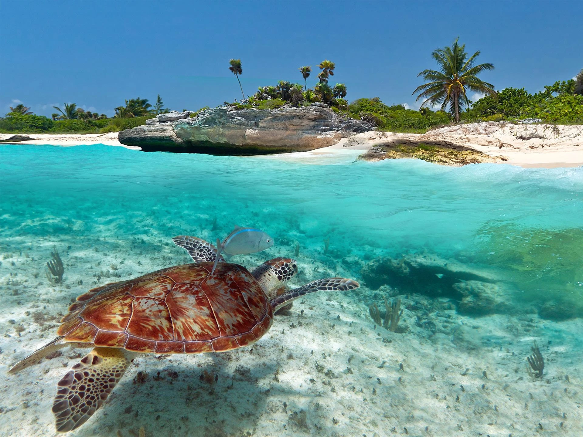 5 Lugares para Visitar Cerca del Aeropuerto de Cancún