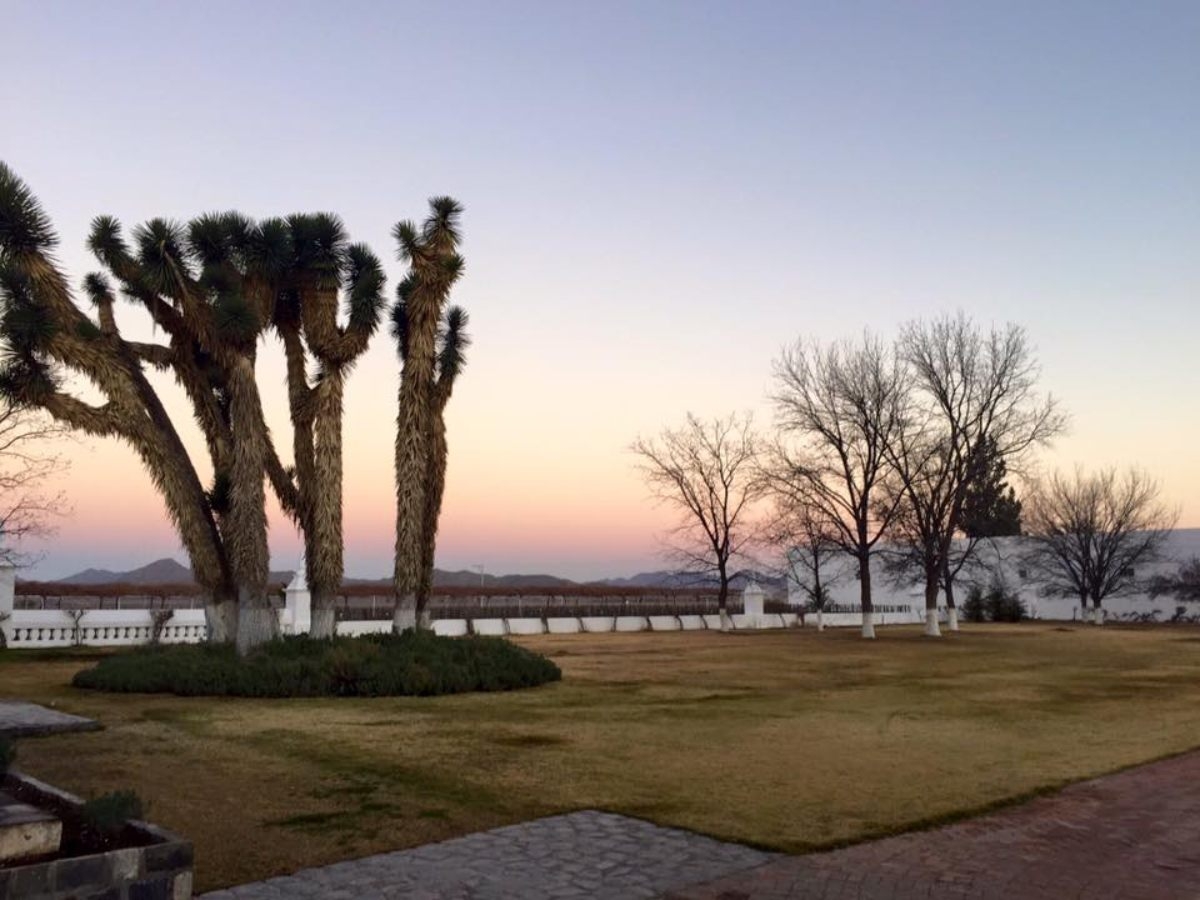 La vinícola Casa Madero cierra sus puertas por irrupción de pobladores armados