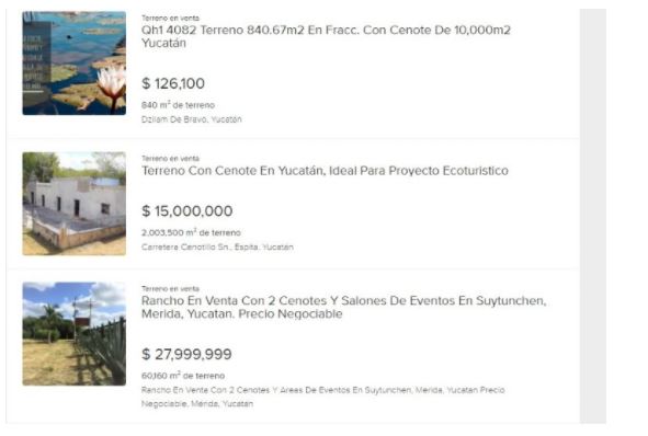 ¿se puede vender cenotes en yucatán? La revista del sureste mx Ceonote
