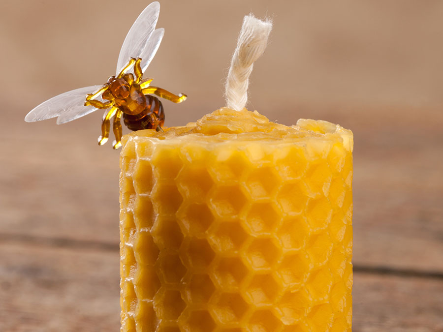 Cera Abeja