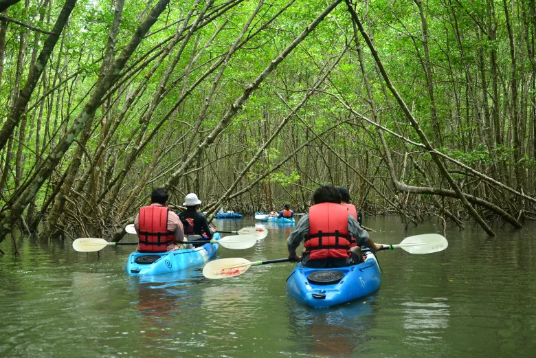Disfrutando Experiencia Kayak Reserva Petenes 1