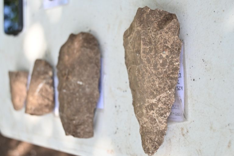 Alrededor de 3mil vestigios arqueológicos se han encontrado en la ruta del tren maya la revista del sureste mx F768X1 421251 421378 15