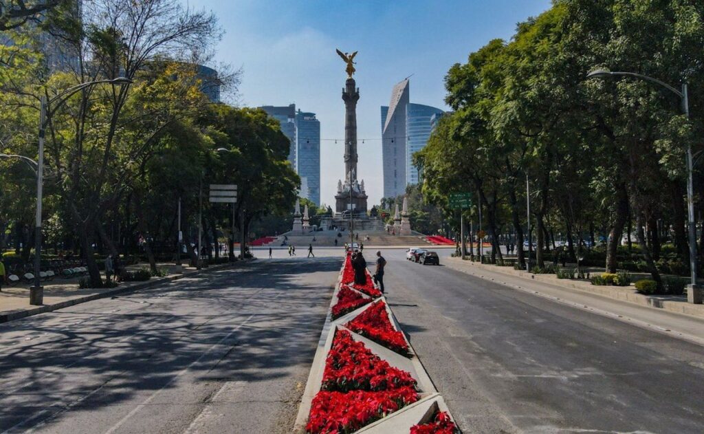 Lugares turísticos de la ciudad de méxico la revista del sureste mx Nochebuenas Paseo De La Reforma