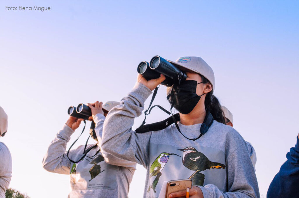 Festival de las aves toh, un recorrido asombroso y sustentable en yucatán la revista del sureste mx Observacion