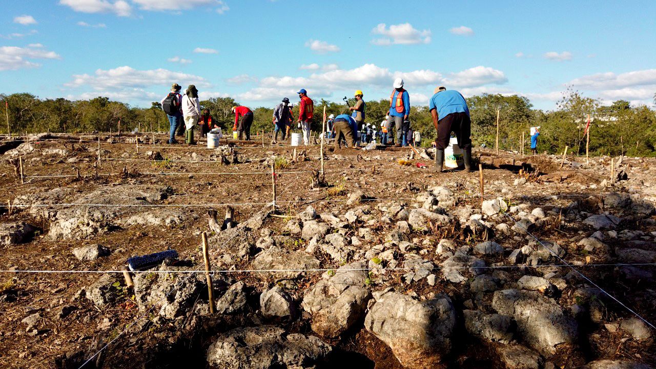 Nuevos hallazgos arqueológicos en el tramo 5 del Tren Maya