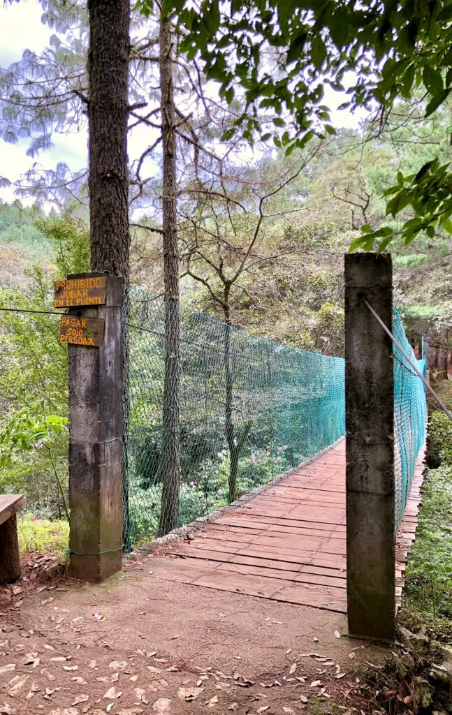 El arcotete, un imponente atractivo natural de las montañas chiapanecas la revista del sureste mx 4 647X1024 1