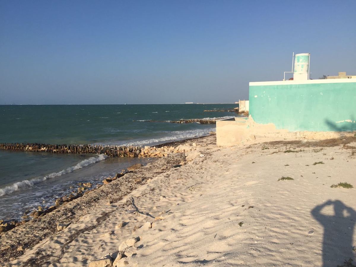 Chelem, el puerto pesquero más bello de la costa yucateca la revista del sureste mx Eb Be3116