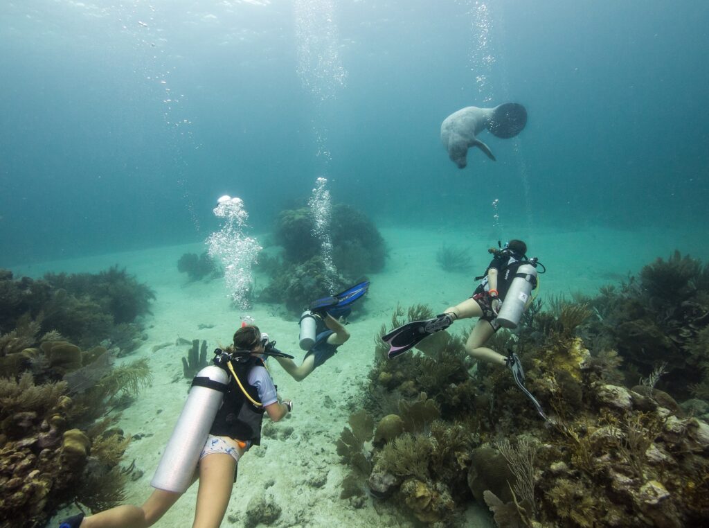 Xca Rf Mnt Rd Xtc 002T 0613 Lt P