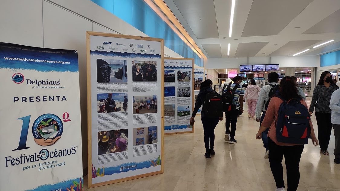 Aeropuerto Oceanos Trabajos