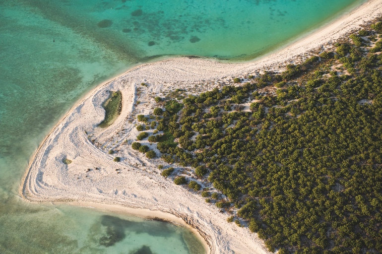 Parque nacional arrecife alacranes, un paraíso del ecoturismo en yucatán la revista del sureste mx