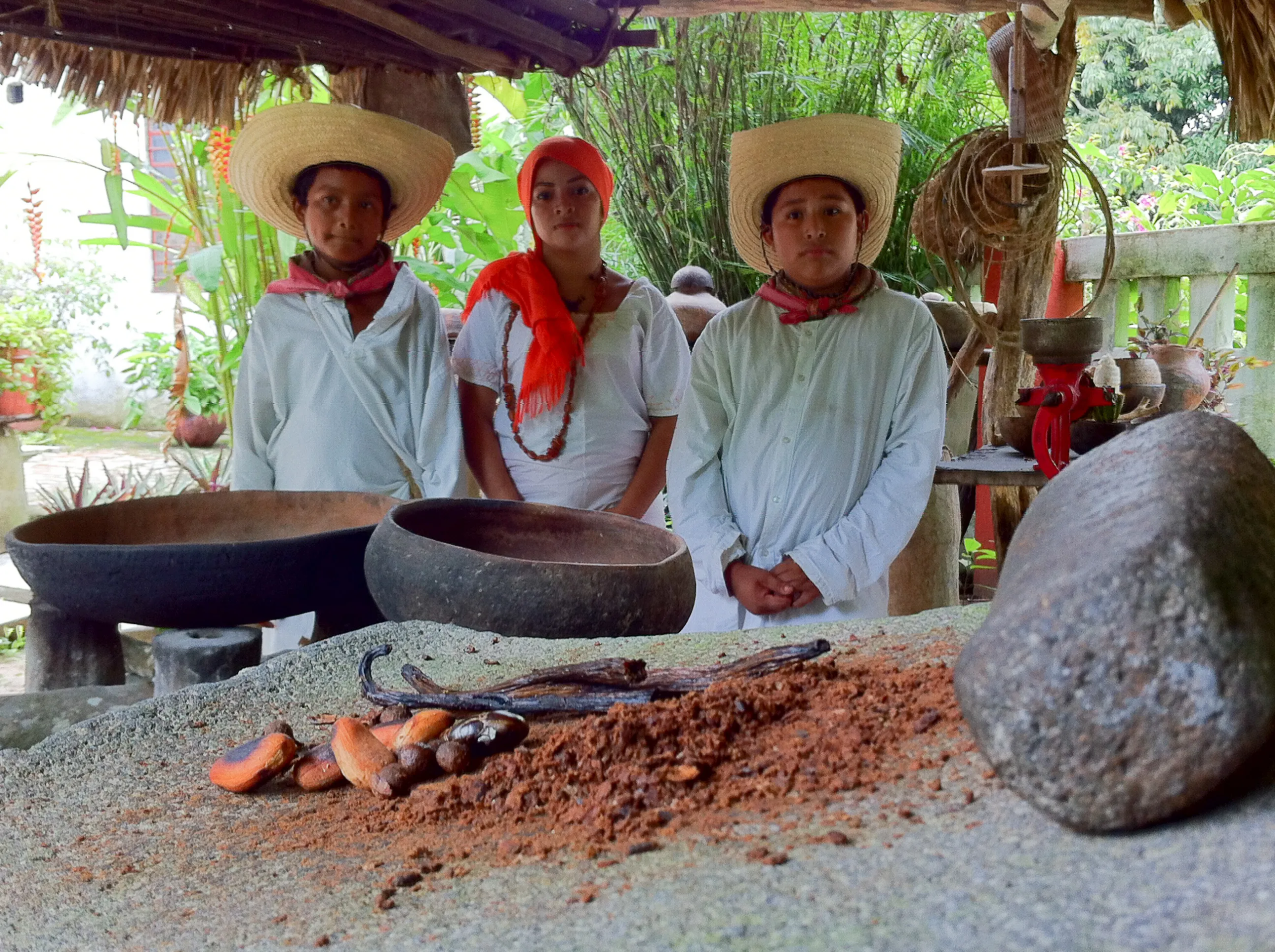 Cacaotera