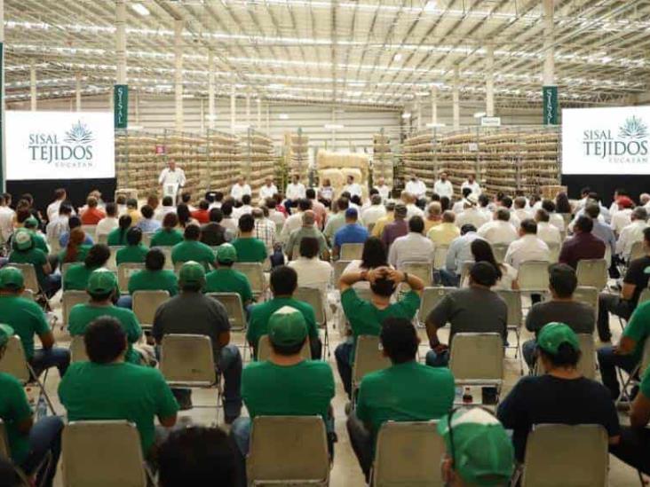 Crop W1196 H598 Whatsapp Image 2022 06 18 At 61028 Pm 78C7B548 Focus 0 0 732 549