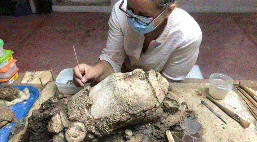 Encuentran en palenque excepcional efigie de deidad del maíz la revista del sureste mx Dios Maya Del Maiz