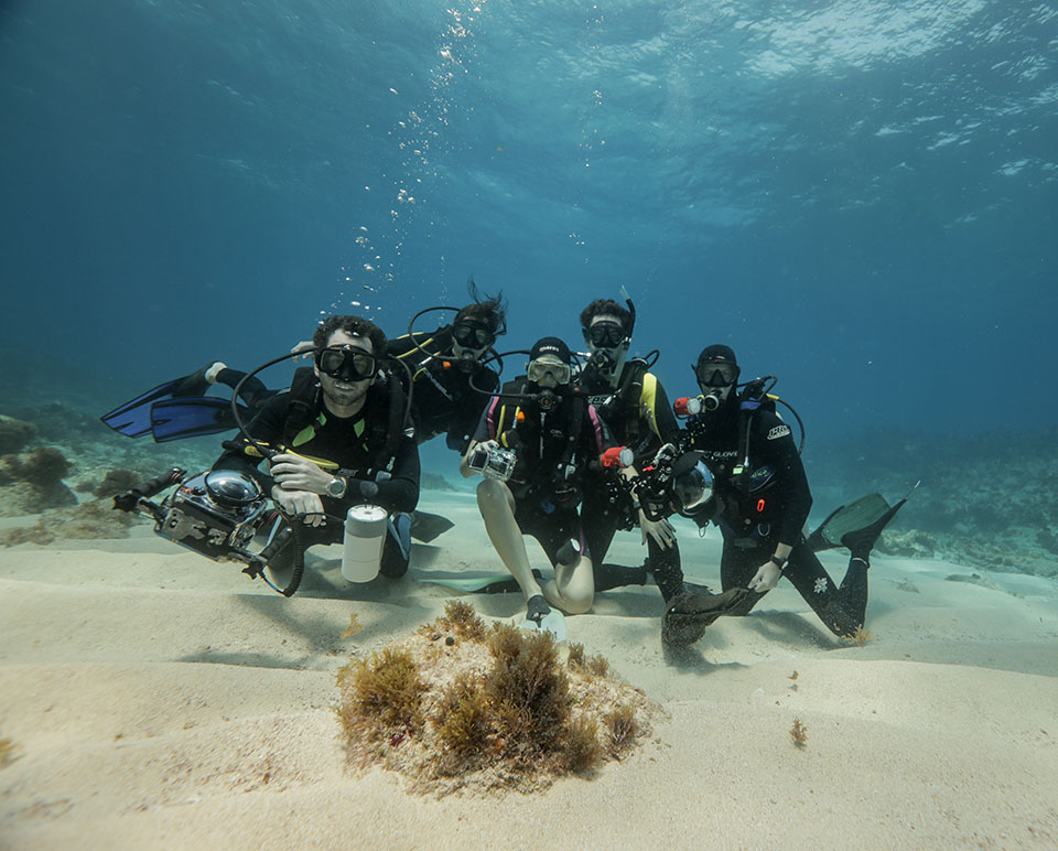 Friends Diving Chinchorro